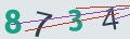 verifycode